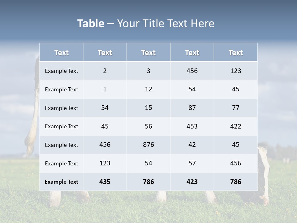 A Black And White Cow Grazing In A Field PowerPoint Template