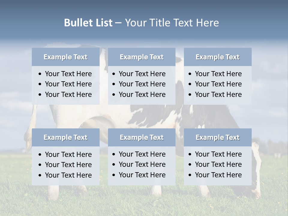 A Black And White Cow Grazing In A Field PowerPoint Template