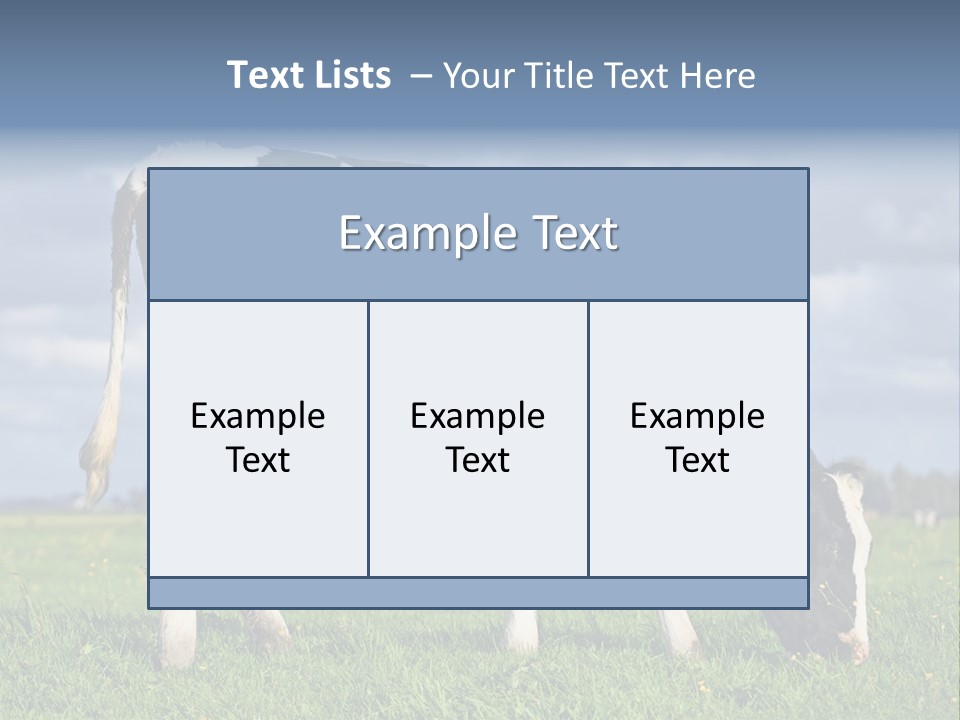 A Black And White Cow Grazing In A Field PowerPoint Template