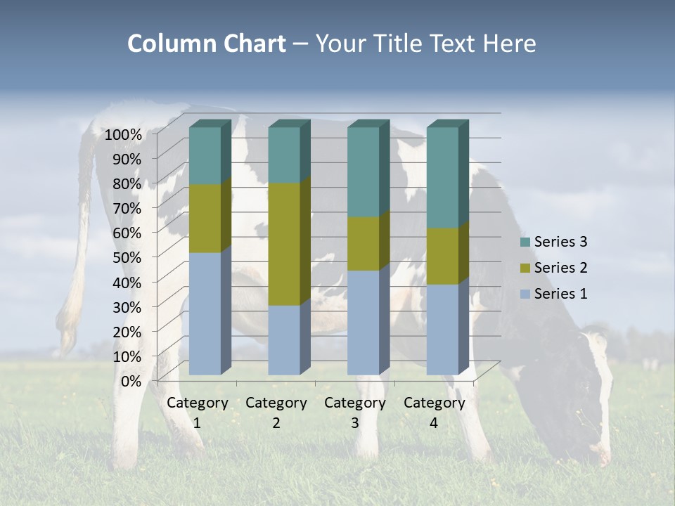 A Black And White Cow Grazing In A Field PowerPoint Template