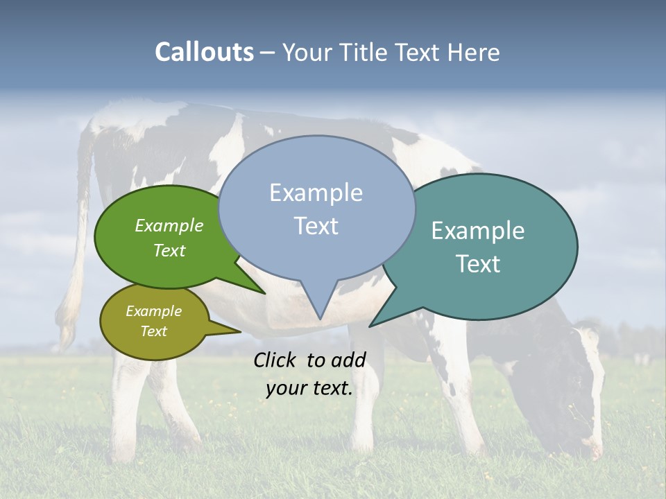 A Black And White Cow Grazing In A Field PowerPoint Template