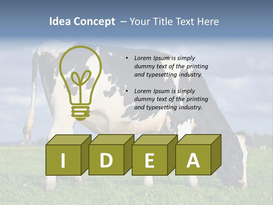 A Black And White Cow Grazing In A Field PowerPoint Template