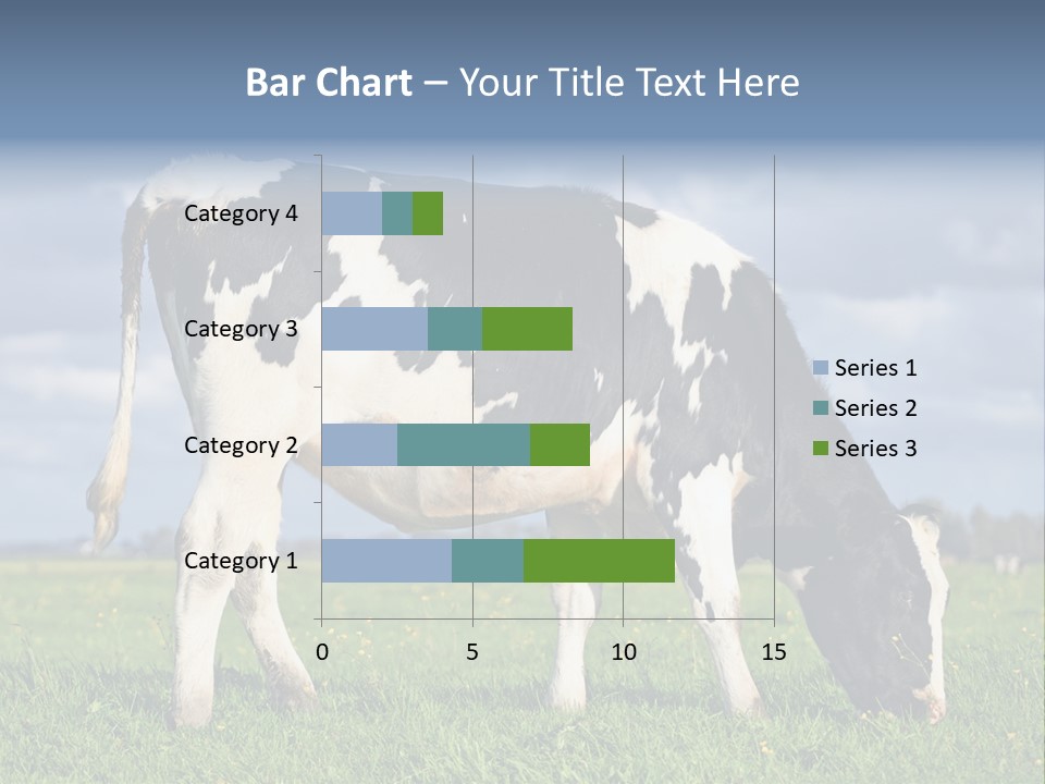 A Black And White Cow Grazing In A Field PowerPoint Template
