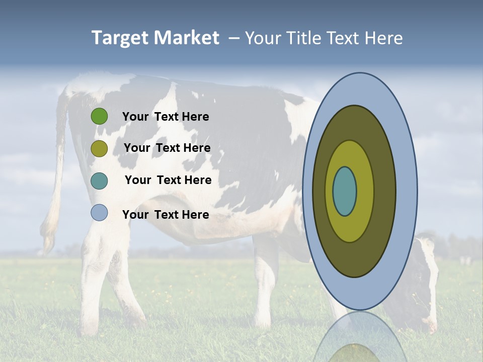 A Black And White Cow Grazing In A Field PowerPoint Template