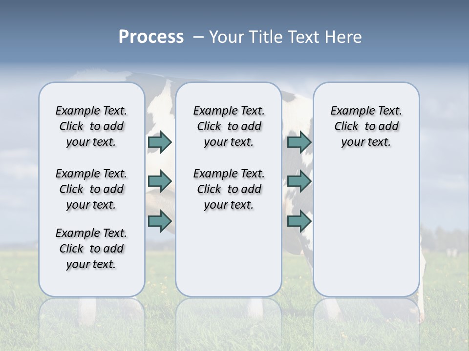 A Black And White Cow Grazing In A Field PowerPoint Template