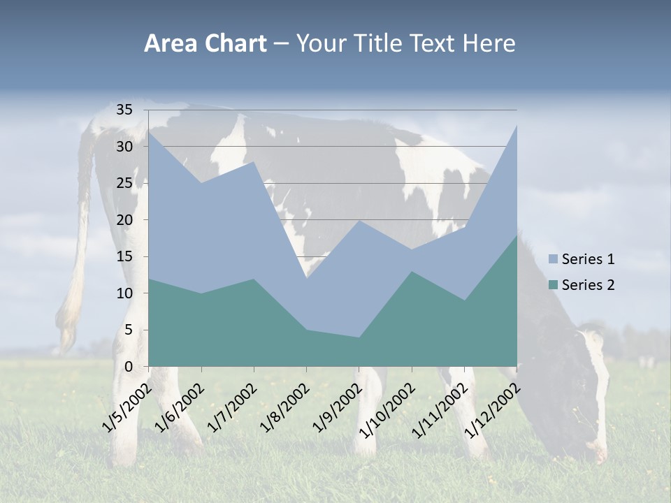 A Black And White Cow Grazing In A Field PowerPoint Template