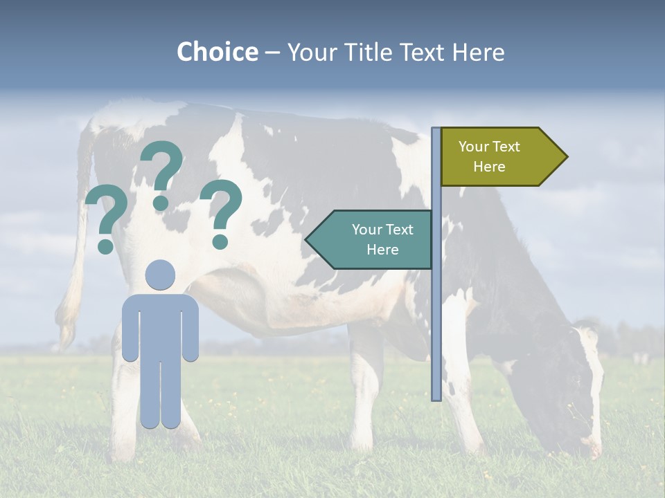 A Black And White Cow Grazing In A Field PowerPoint Template