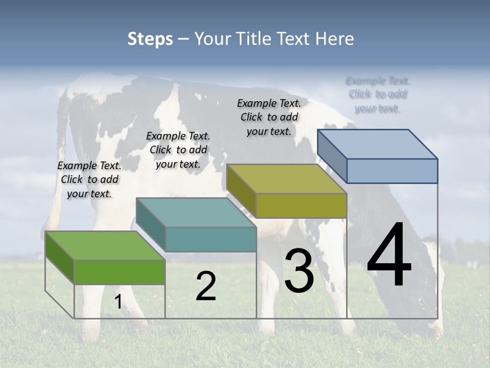 A Black And White Cow Grazing In A Field PowerPoint Template