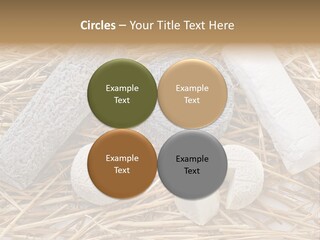 French Crottin De Chavignol Studio PowerPoint Template