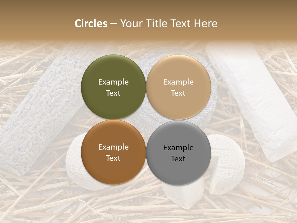 French Crottin De Chavignol Studio PowerPoint Template