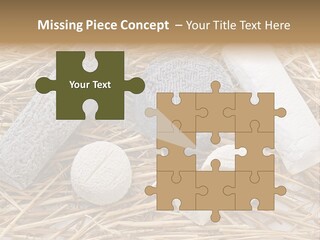 French Crottin De Chavignol Studio PowerPoint Template