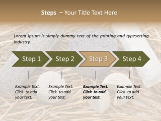 French Crottin De Chavignol Studio PowerPoint Template