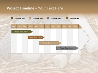 French Crottin De Chavignol Studio PowerPoint Template