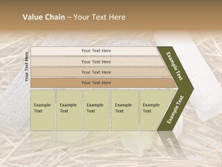 French Crottin De Chavignol Studio PowerPoint Template