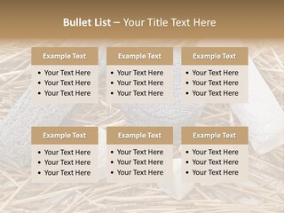 French Crottin De Chavignol Studio PowerPoint Template