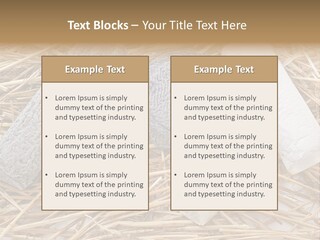 French Crottin De Chavignol Studio PowerPoint Template
