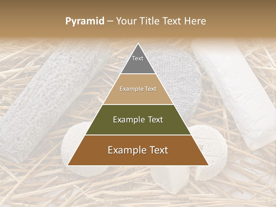 French Crottin De Chavignol Studio PowerPoint Template