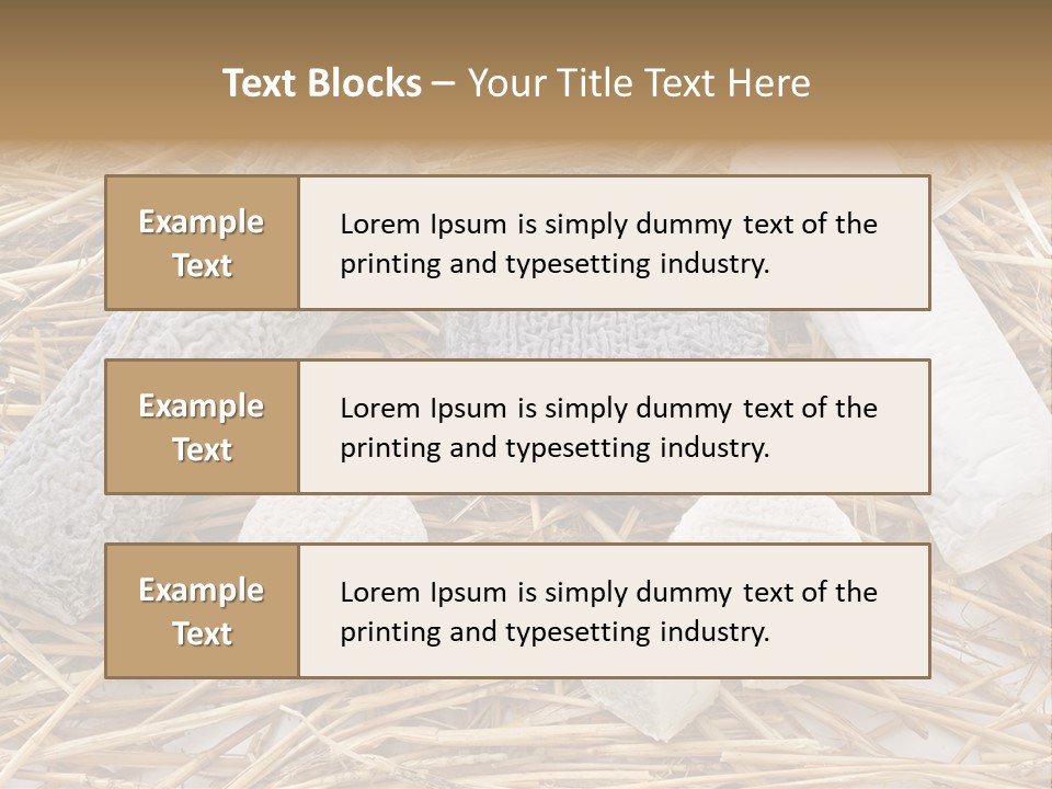 French Crottin De Chavignol Studio PowerPoint Template