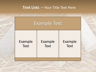French Crottin De Chavignol Studio PowerPoint Template