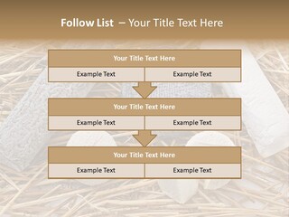 French Crottin De Chavignol Studio PowerPoint Template