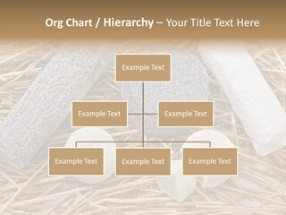 French Crottin De Chavignol Studio PowerPoint Template