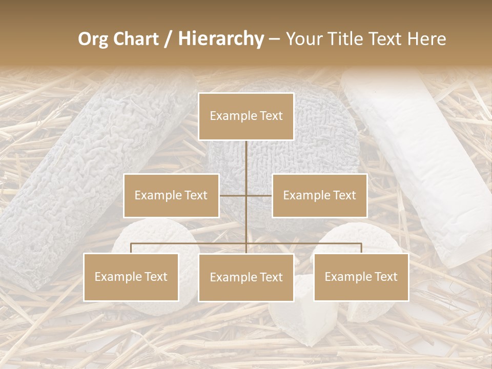 French Crottin De Chavignol Studio PowerPoint Template