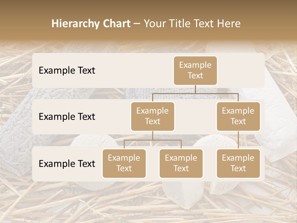 French Crottin De Chavignol Studio PowerPoint Template
