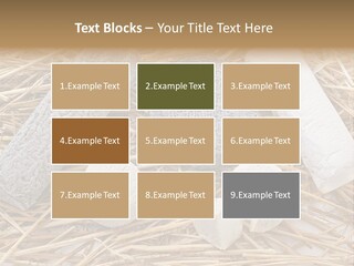 French Crottin De Chavignol Studio PowerPoint Template