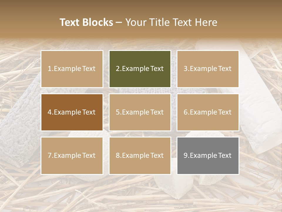 French Crottin De Chavignol Studio PowerPoint Template