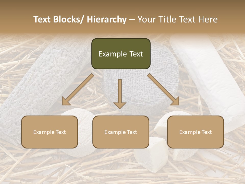 French Crottin De Chavignol Studio PowerPoint Template
