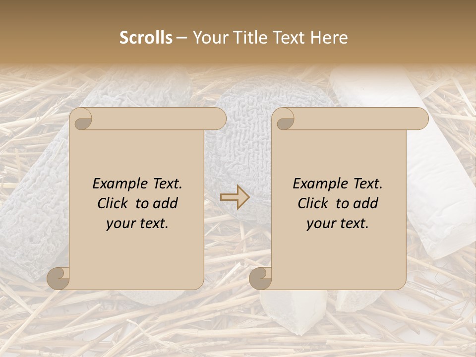 French Crottin De Chavignol Studio PowerPoint Template