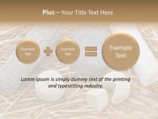 French Crottin De Chavignol Studio PowerPoint Template