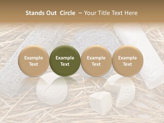 French Crottin De Chavignol Studio PowerPoint Template