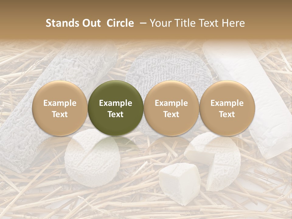 French Crottin De Chavignol Studio PowerPoint Template