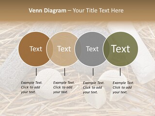 French Crottin De Chavignol Studio PowerPoint Template