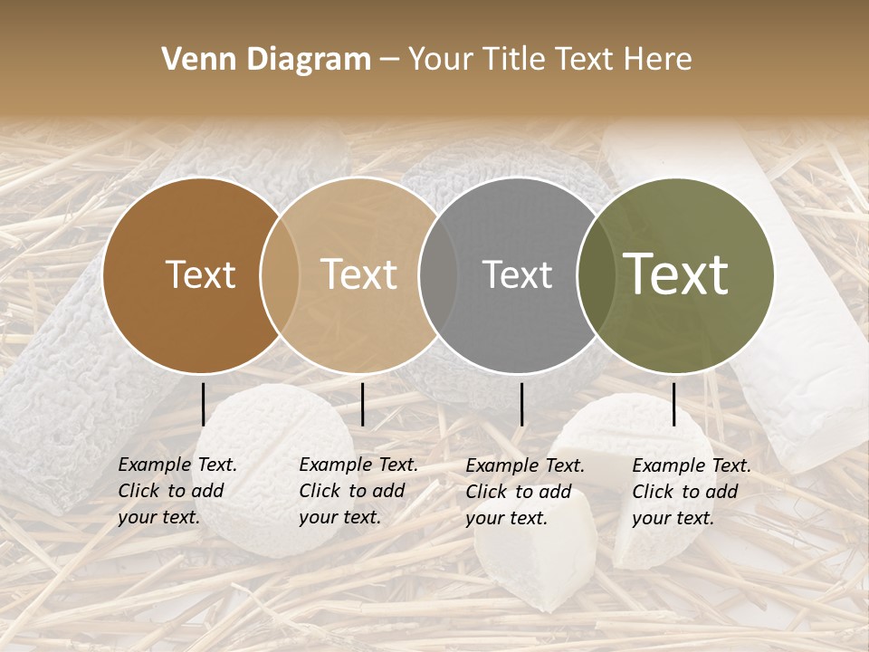 French Crottin De Chavignol Studio PowerPoint Template