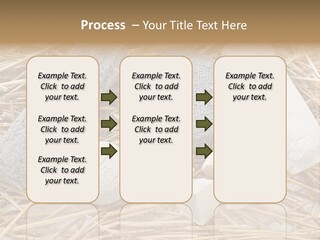 French Crottin De Chavignol Studio PowerPoint Template