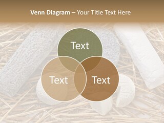 French Crottin De Chavignol Studio PowerPoint Template