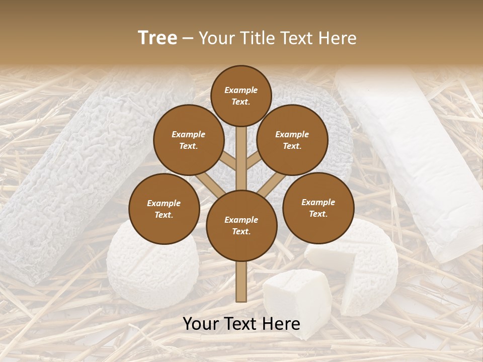 French Crottin De Chavignol Studio PowerPoint Template