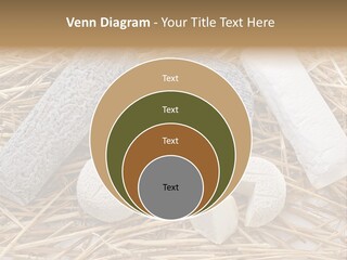 French Crottin De Chavignol Studio PowerPoint Template