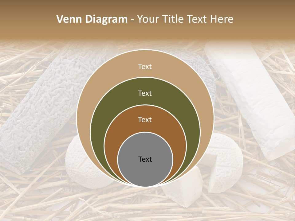 French Crottin De Chavignol Studio PowerPoint Template