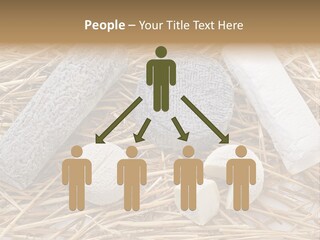 French Crottin De Chavignol Studio PowerPoint Template