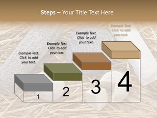 French Crottin De Chavignol Studio PowerPoint Template