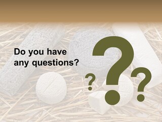 French Crottin De Chavignol Studio PowerPoint Template