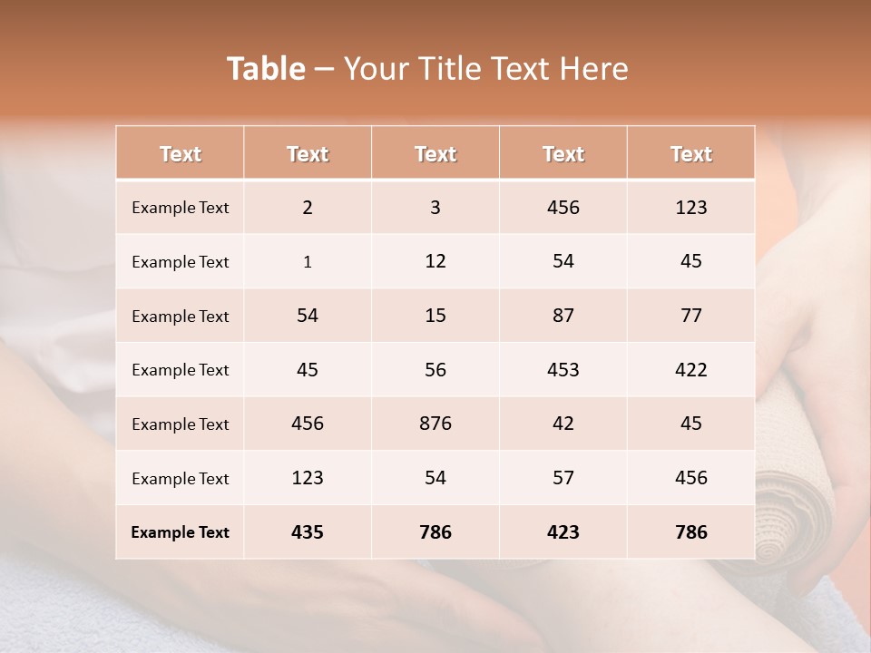 Beautiful Care Toy PowerPoint Template