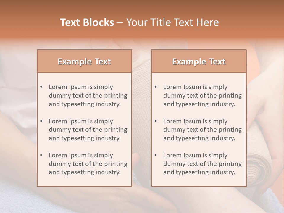 Beautiful Care Toy PowerPoint Template