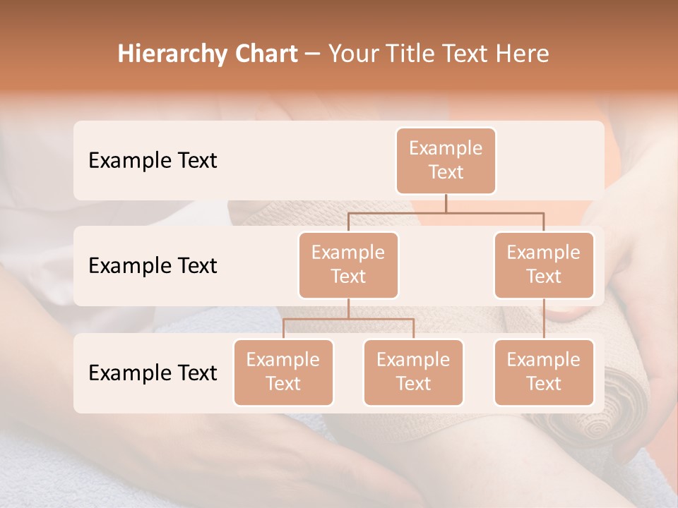 Beautiful Care Toy PowerPoint Template