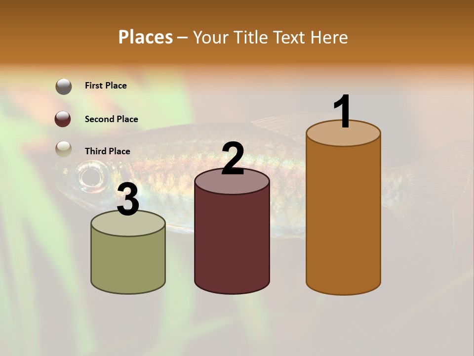 Doctor Bubbles Carp PowerPoint Template