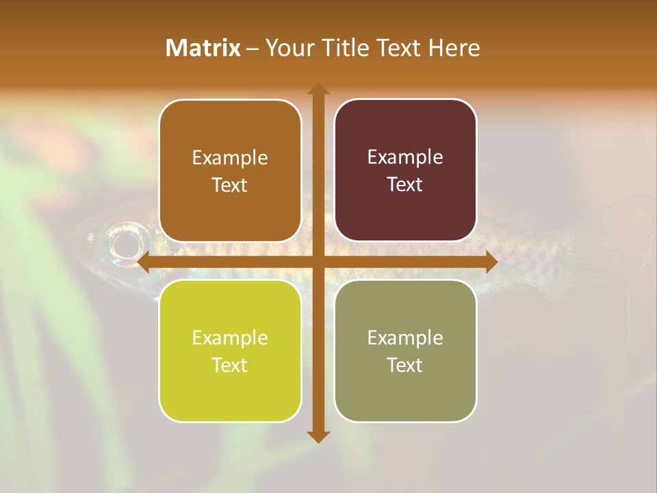 Doctor Bubbles Carp PowerPoint Template