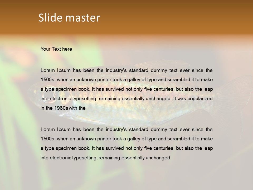 Doctor Bubbles Carp PowerPoint Template